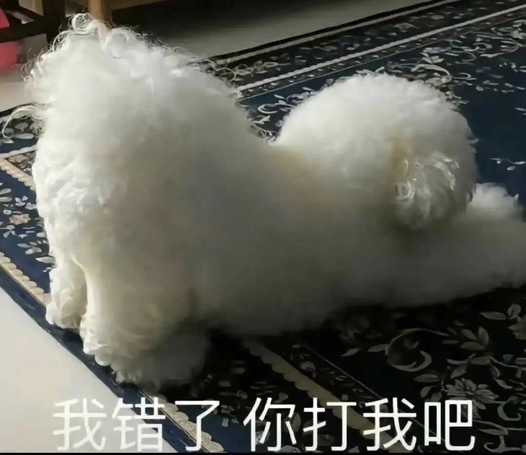 【西檬之家】K9犬系是什么意思？字母圈新人必读指南