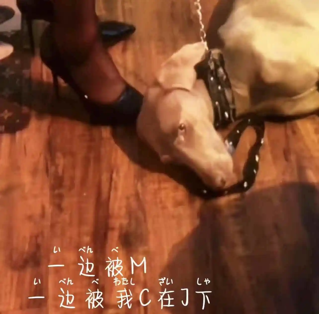 西檬之家-BDSM核心原则与常用术语解析
