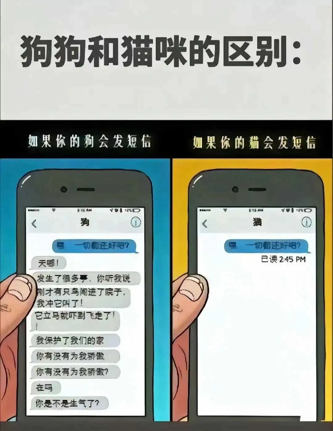 【西檬之家】恋足癖在字母圈中的含义与实践