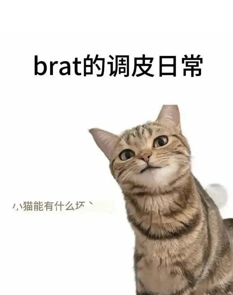 西檬之家-BDSM管教指南：SSC原则与新手入门