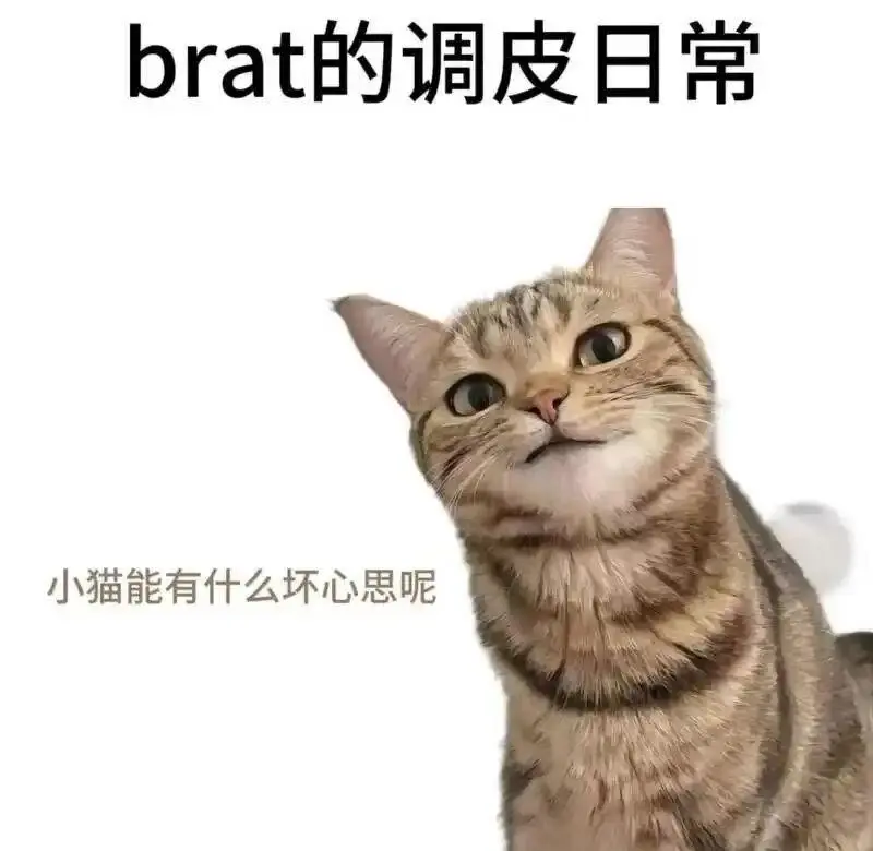 西檬之家-字母圈DOM是什么意思？