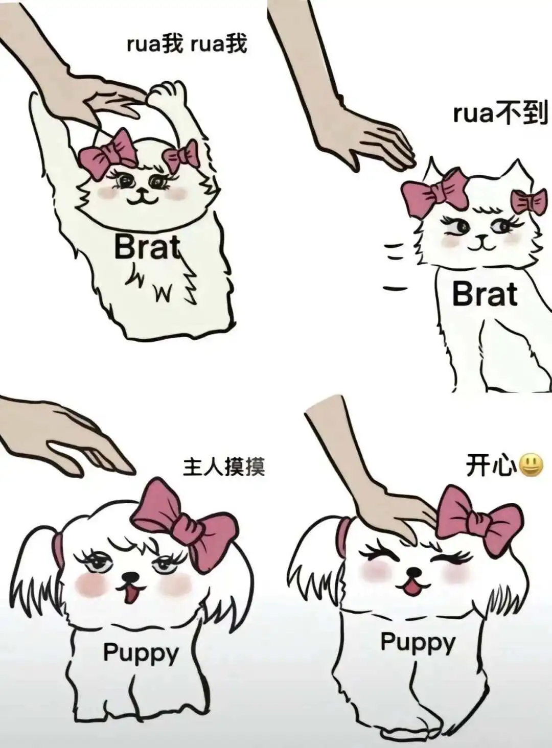 西檬之家-字母圈新人入圈指南：掌握基础术语与SSC原则