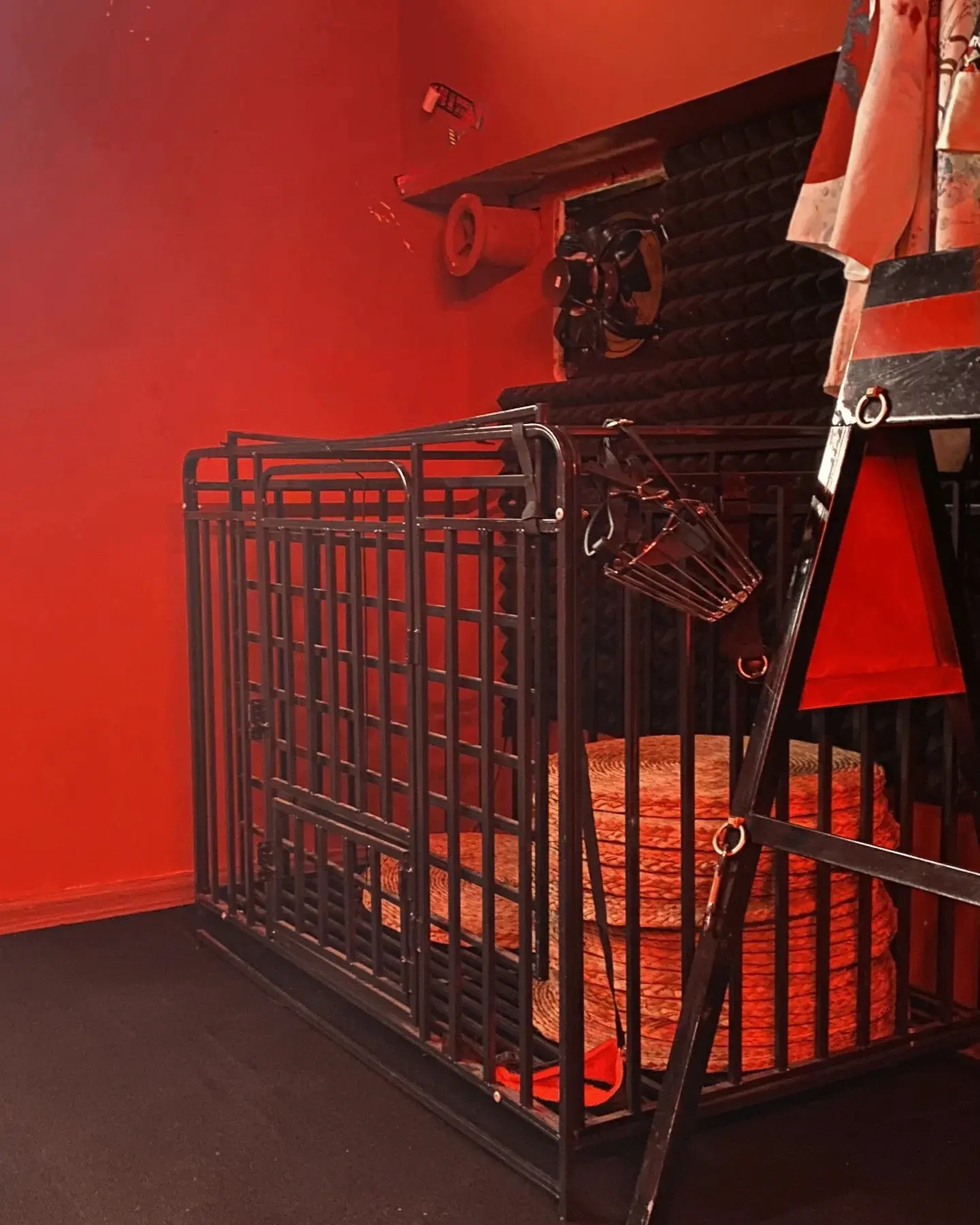 【西檬之家】字母圈新人如何入圈？BDSM基础知识与关键术语解析